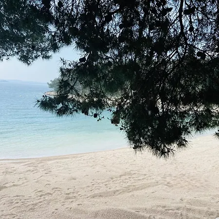 Dom wakacyjny Serenity Mobile House *