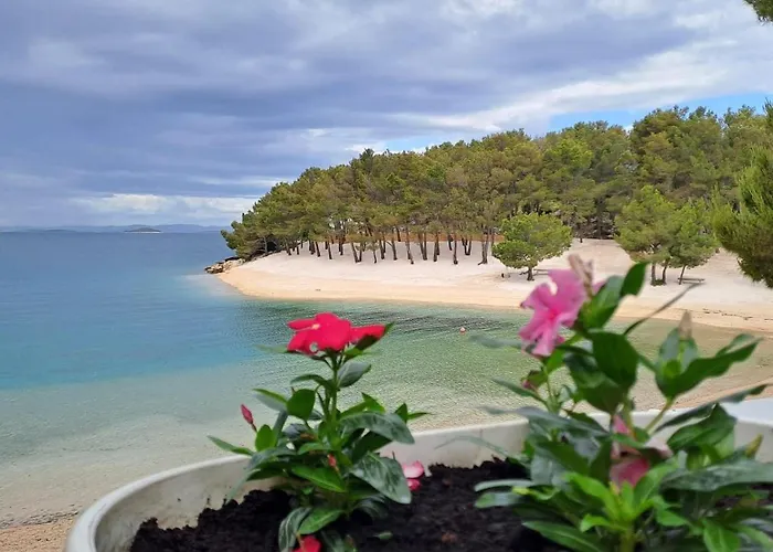 Serenity Mobile House * Drage